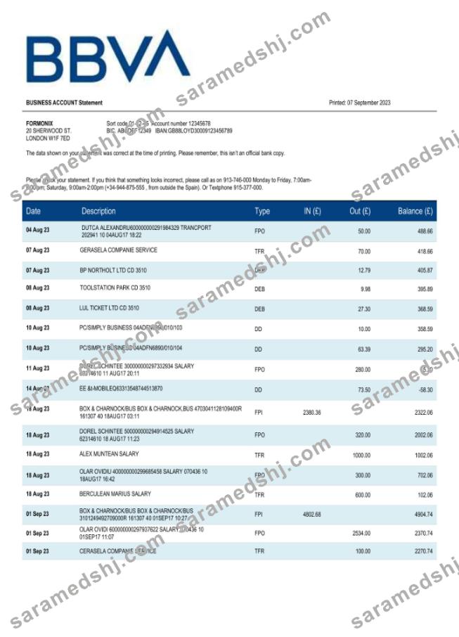BBVA Bank organization statement Word and PDF template